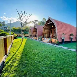 Guest house Dimas *