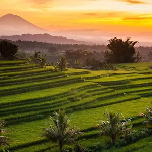 Kubu Pinge Homestay