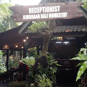 Guest house Jembrana Bali 3*
