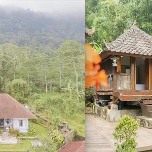 Four Monkeys House Villa Bedugul (Bali)