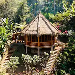 Bali Jungle Taksu Holiday home