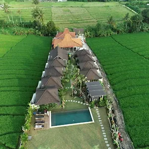 Alisha * Canggu (Bali)