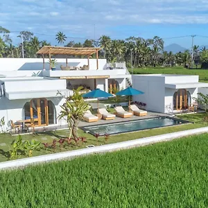 Bed & Breakfast Zango,