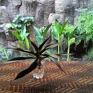 Rumah Teges Ubud (Bali)