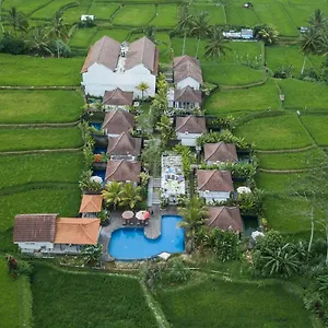 Hotel Tanta Escape 3*