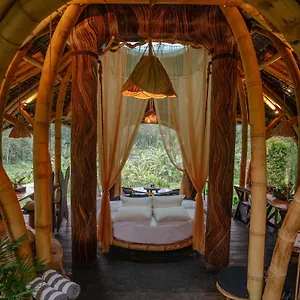 Veluvana Bali * サイドメン