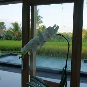 Dukuh Ubud 2br Pool Villa *