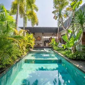 Yogi Surf Complex