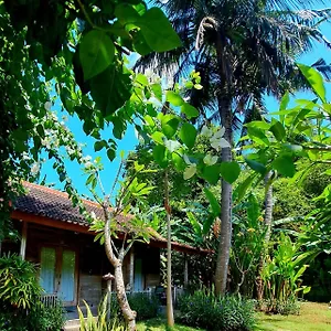 Penida Social House Villas And Sports Bar Hostel *