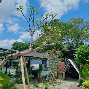 The Jungle *