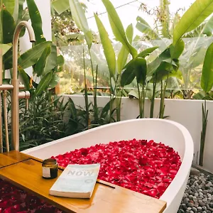 Modern Tropical 3br Seseh, Canggu