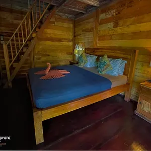 Hostel Ocean Prana Village