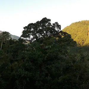 Sugi Gede * Singaraja (Bali)