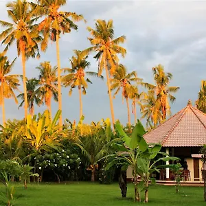 Bali Oase 2* Pemuteran (Bali)