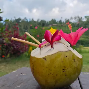 Ananda Lemukih Homestay Singaraja (Bali)