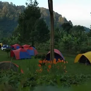 Genius Level Only Camp