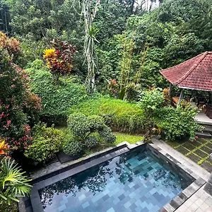 Nadiya Jungle