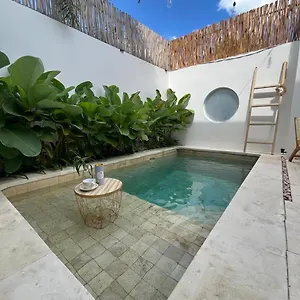 Dreamy 1 Bedroom With Private Pool Close To Villa Canggu (Bali)