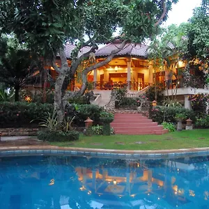 Jungle Garden