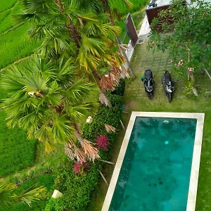 Popkorn Guest house Canggu (Bali)