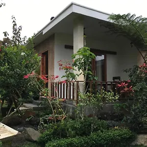 Garden *
