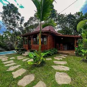 Umah Tamu *