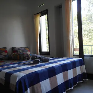 Homestay Terrace