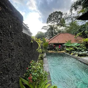 Villa One Bedroom Private Pool And Kitchen *