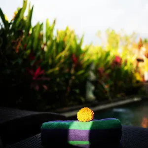 Panorama Paddy Paradise Villa