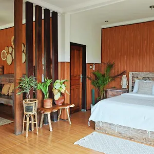 Female-only Solowe Guest house *
