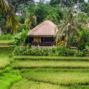Villa Imperial In - Majestic Beauty And Nature
