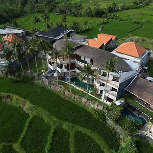 The Bodhi Leaf Wellness Saba