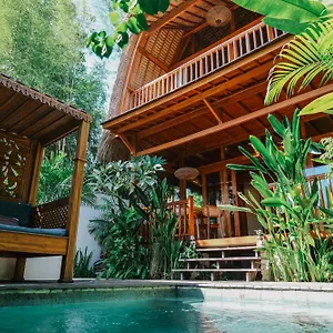 Nest 3 - Eco Boutique *