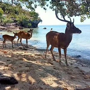 The Gili Menjangan Guest house Banyuwedang
