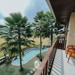 Bed & Breakfast The Paddies #4 *
