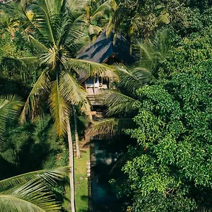 Secluded Jungle Getaway