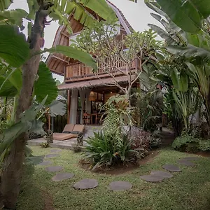 Philosopher Villa *