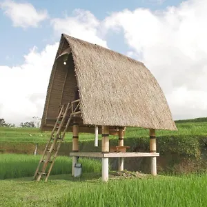 Batan Nyuh Retreat Luxury tent *