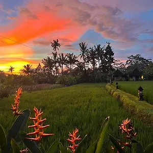 1 Bedroom By The Rice Fields Escape - Pika Villa Ubud (Bali)