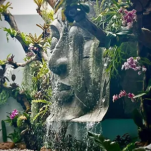 Buddha Waterfall Villa Canggu (Bali)