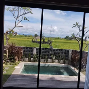A Bali Guest house
