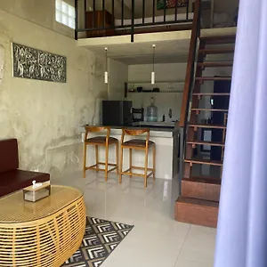 Apartment Aer