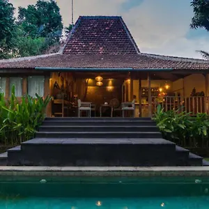 Mango Denpasar