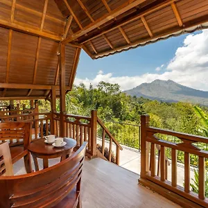 Tiing Bali Kubupenlokan