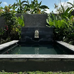 Padi