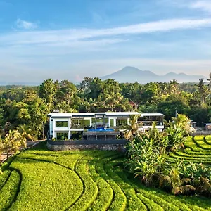 Tippo's Bali