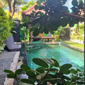 The Harmony * Sanur (Bali)
