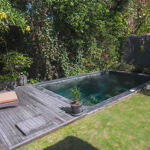 Villa Hutan In Cepaka