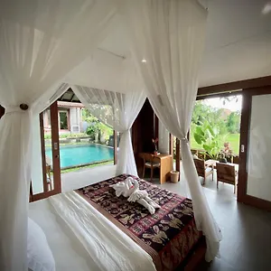 Villa Kicen *