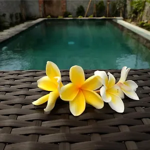 Guest house Eka Bali